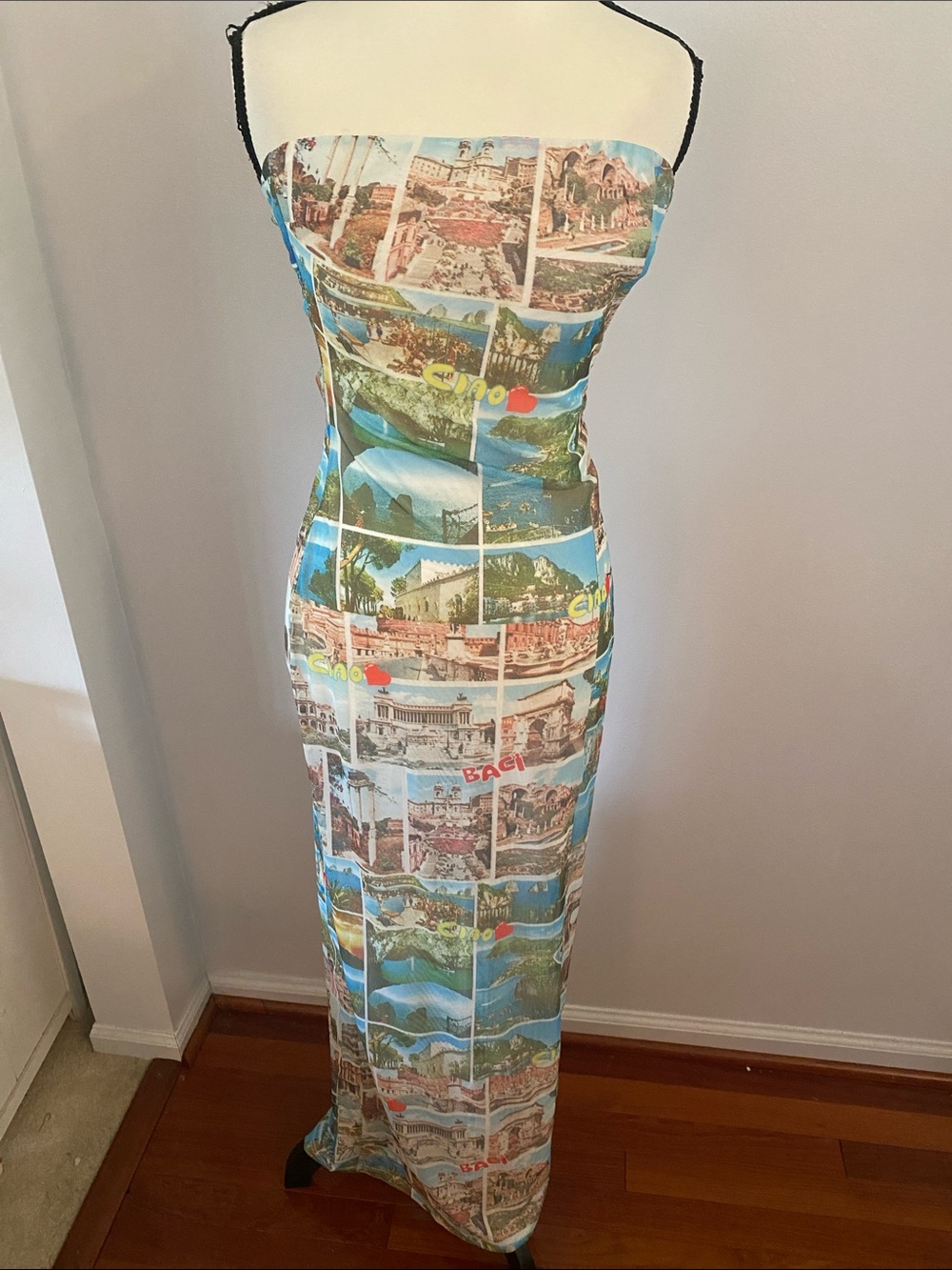 Tiger Mist NWT Adrienne Europe print maxi dress